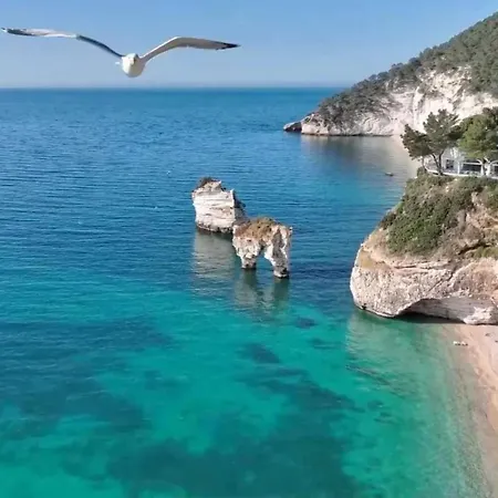 La Rupe E Il Giardino *