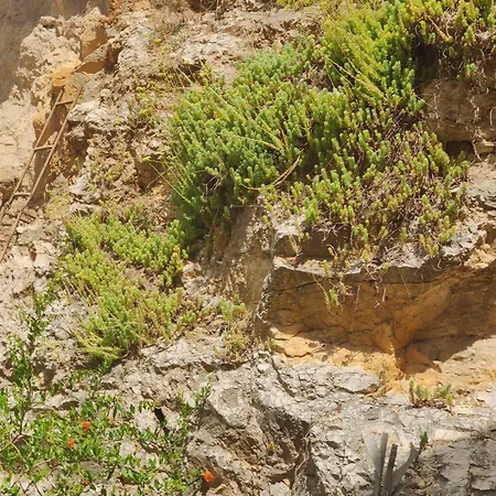 Apartamento La Rupe E Il Giardino