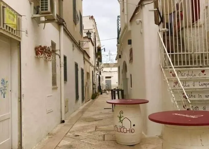 La Rupe E Il Giardino *