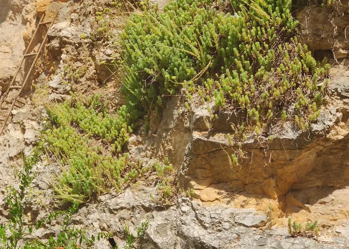 Appartement La Rupe E Il Giardino
